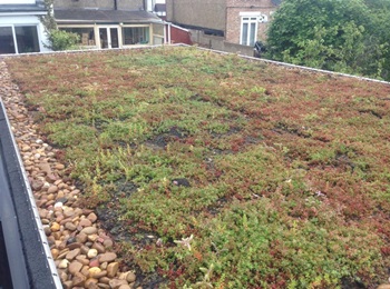 Green roofs in Hertfordshire